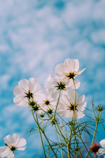 A clean window